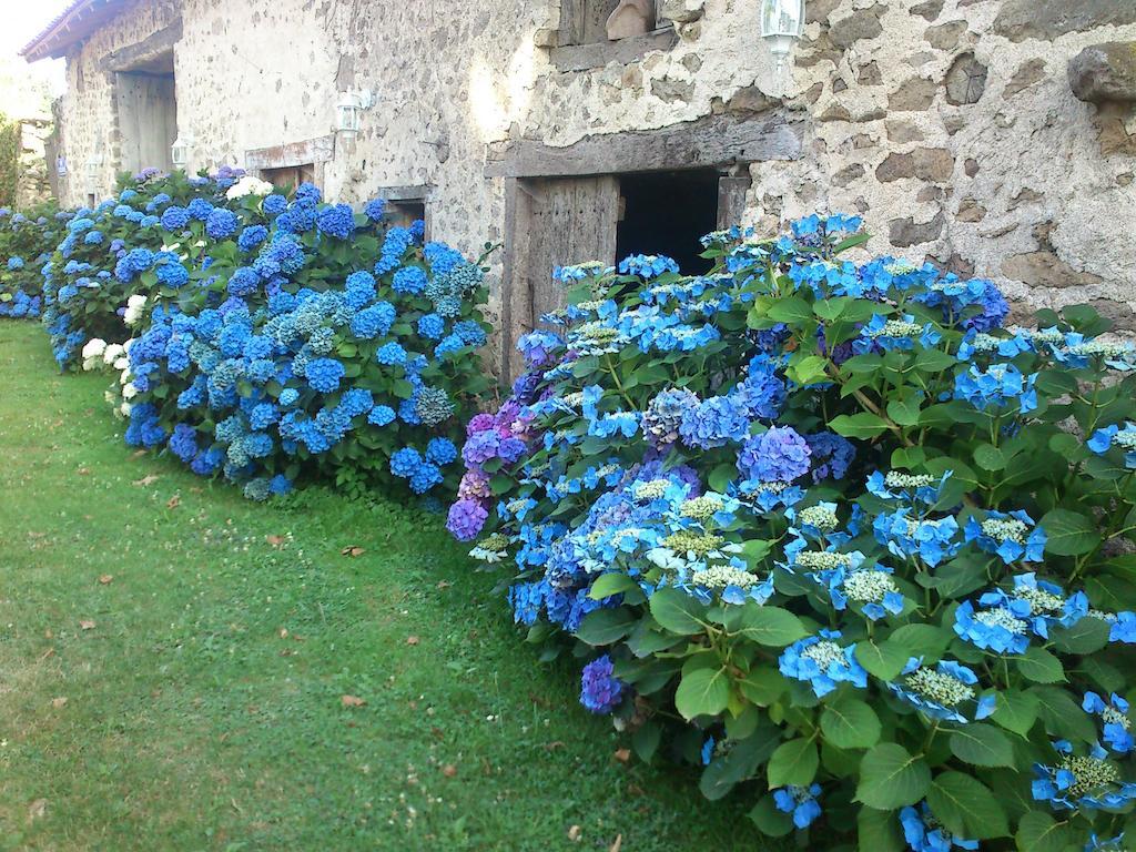 Le Domaine De Panissac Bed and Breakfast Berneuil  Εξωτερικό φωτογραφία